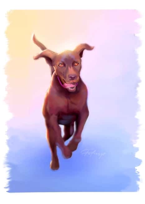Labrador Pet Portrait Full body illustration by Fefierys